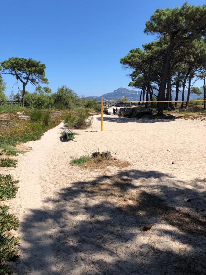 Duplex Renove Les Pieds Dans L'Eau Apartman Calvi  Kültér fotó
