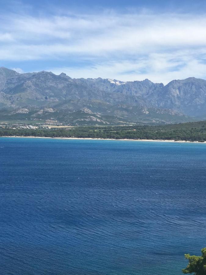 Duplex Renove Les Pieds Dans L'Eau Apartman Calvi  Kültér fotó