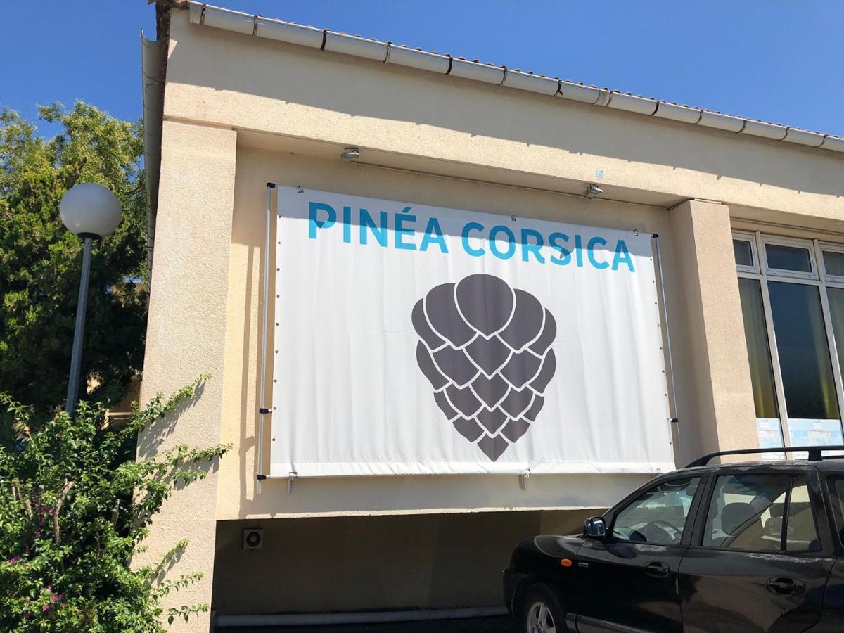 Duplex Renove Les Pieds Dans L'Eau Apartman Calvi  Kültér fotó